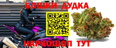 apvp Лесосибирск